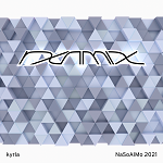 rxnmix album cover